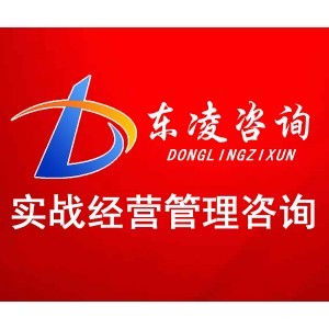宁波东凌企业管理咨询