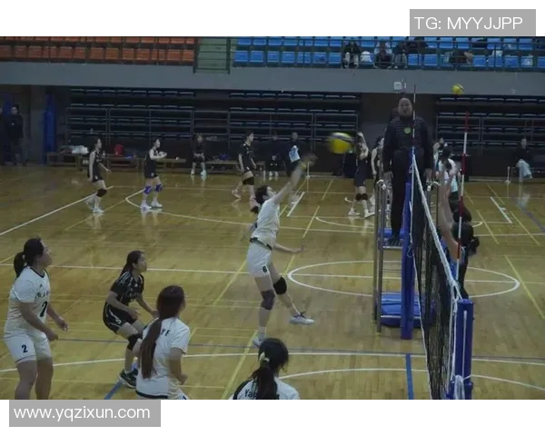 重庆排球队选拔赛点评：个人能力展现与团队协作的完美结合