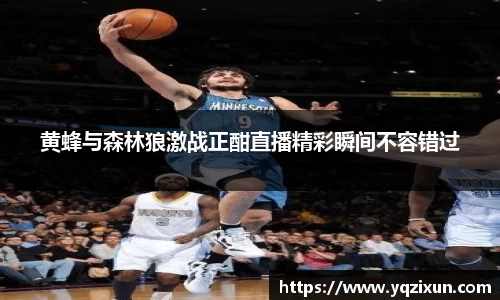 黄蜂与森林狼激战正酣直播精彩瞬间不容错过